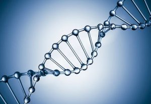 clinica-de-exames-laboratoriais-para-teste-de-dna 3