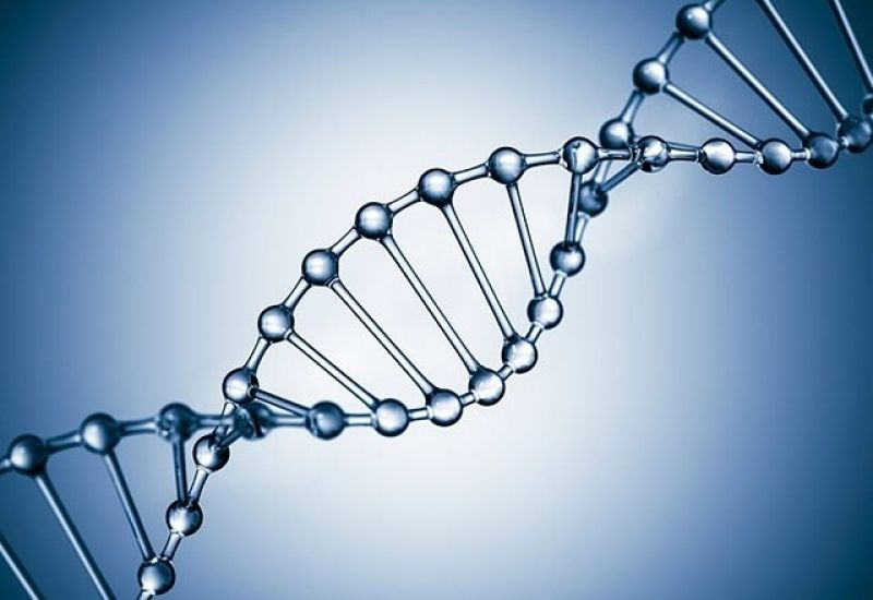 Allele – Laboratório de exames de DNA - Diário do Litoral