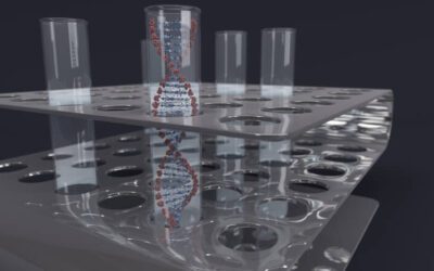 Saiba quanto custa o exame de DNA